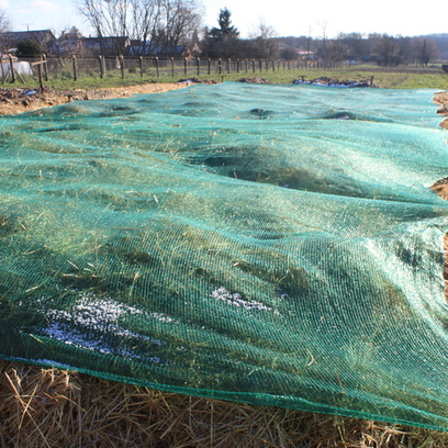 Arundo levermelve