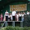 Falunap 2011.